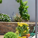 Private House Niki Kalymnos فيلة Panormos (Kalymnos)