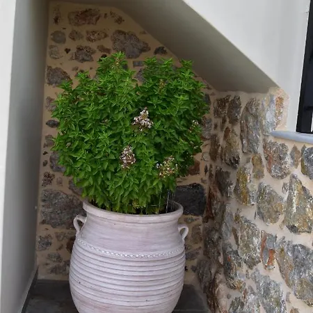 Private House Niki Kalymnos * Panormos (Kalymnos)