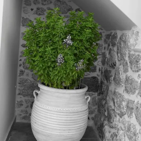 Private House Niki Kalymnos * Panormos (Kalymnos)