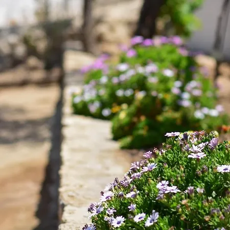 Private House Niki Kalymnos Panormos (Kalymnos)