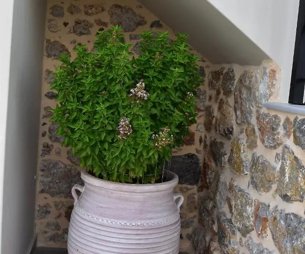 Private House Niki Kalymnos * Panormos (Kalymnos)