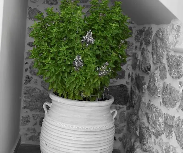 Private House Niki Kalymnos * Panormos (Kalymnos)