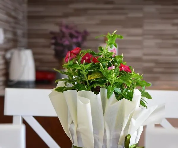 فيلة Private House Niki Kalymnos