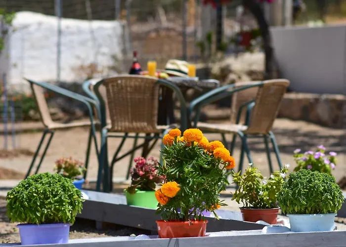Private House Niki Kalymnos *