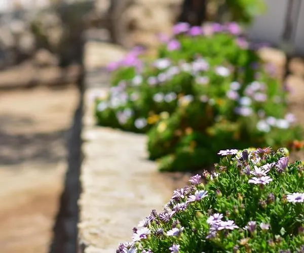 Private House Niki Kalymnos Panormos (Kalymnos)